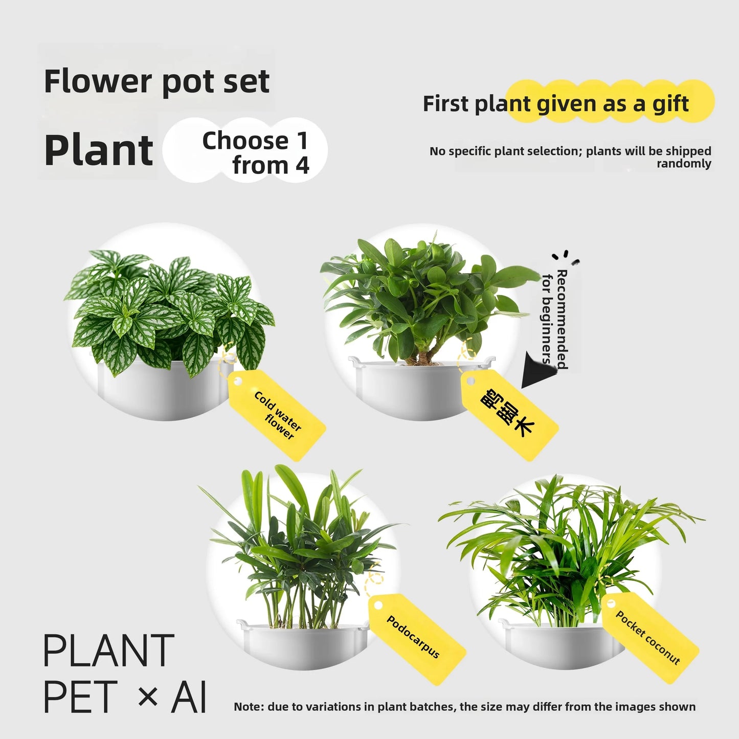 Deepholo IVY Cute Pet Robot Smart Desktop Ornament 1:5 Scale Electronic Toy Plastic Creative AI Birthday Gift